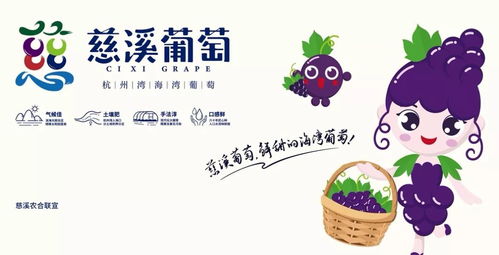 慈溪市第十三屆葡萄節(jié)暨新浦鎮(zhèn)第二屆群眾文化藝術(shù)節(jié)開幕式隆重舉行