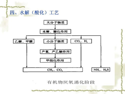 新型生物處理技術 活性污泥法與生物化工產品技術研發的融合與創新