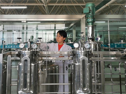 徐州醫藥高職教師劉曉娟獲評江蘇省高?！扒嗨{工程”中青年學術帶頭人培養對象