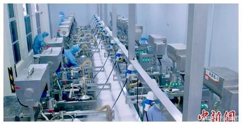 臺商深耕江西 以科技為翼，推動傳統食品傳承與生物化工創新